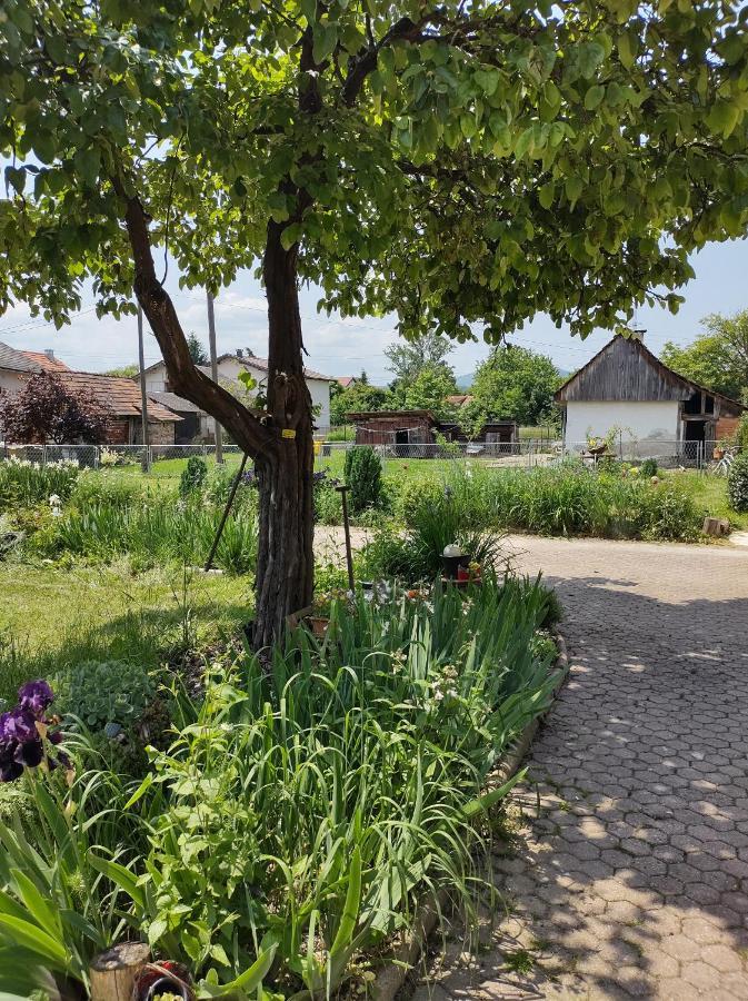 Villa Drenje Kljuc Brdovecki Ngoại thất bức ảnh