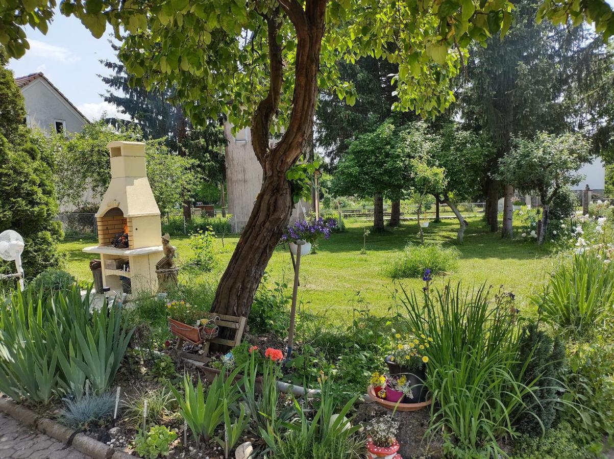 Villa Drenje Kljuc Brdovecki Ngoại thất bức ảnh